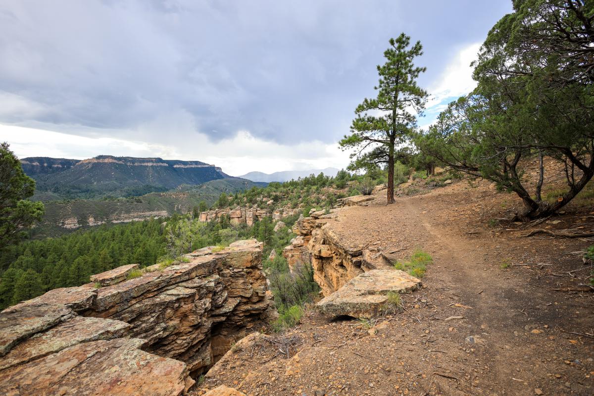 Hiking on the Animas City Mountain During Summer | Rhyler Overend | Visit Durango