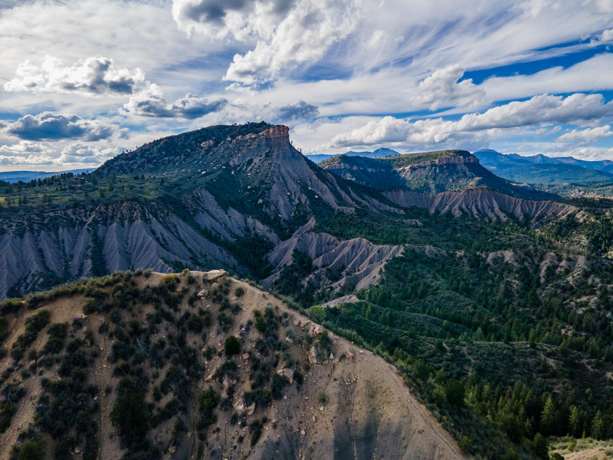 Overend Mountain Park During Summer