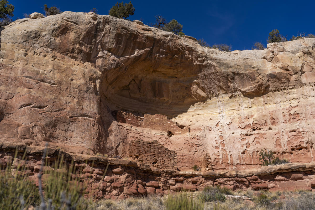 Canyon of the Ancients National Monument During Spring