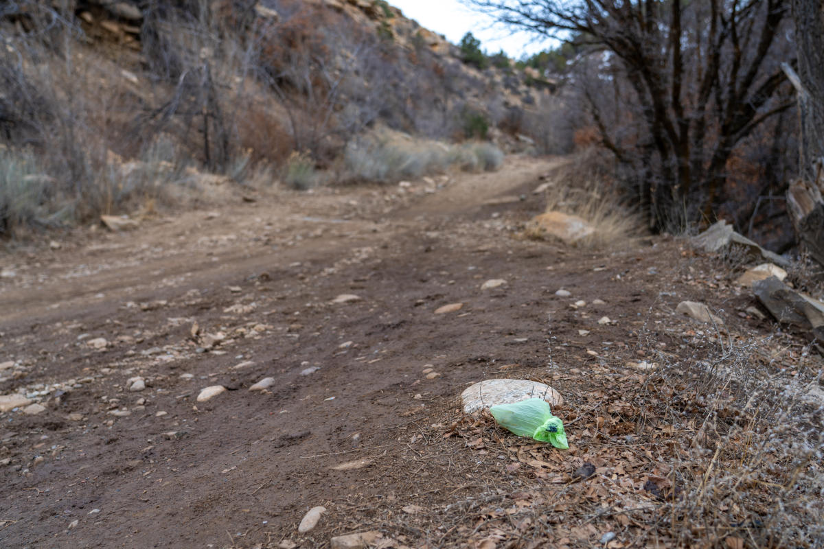 A dog poop bag left on trail.