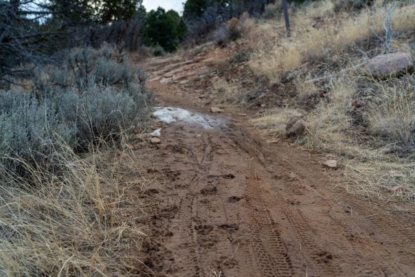 Muddy Trails During Spring at Horse Gulch