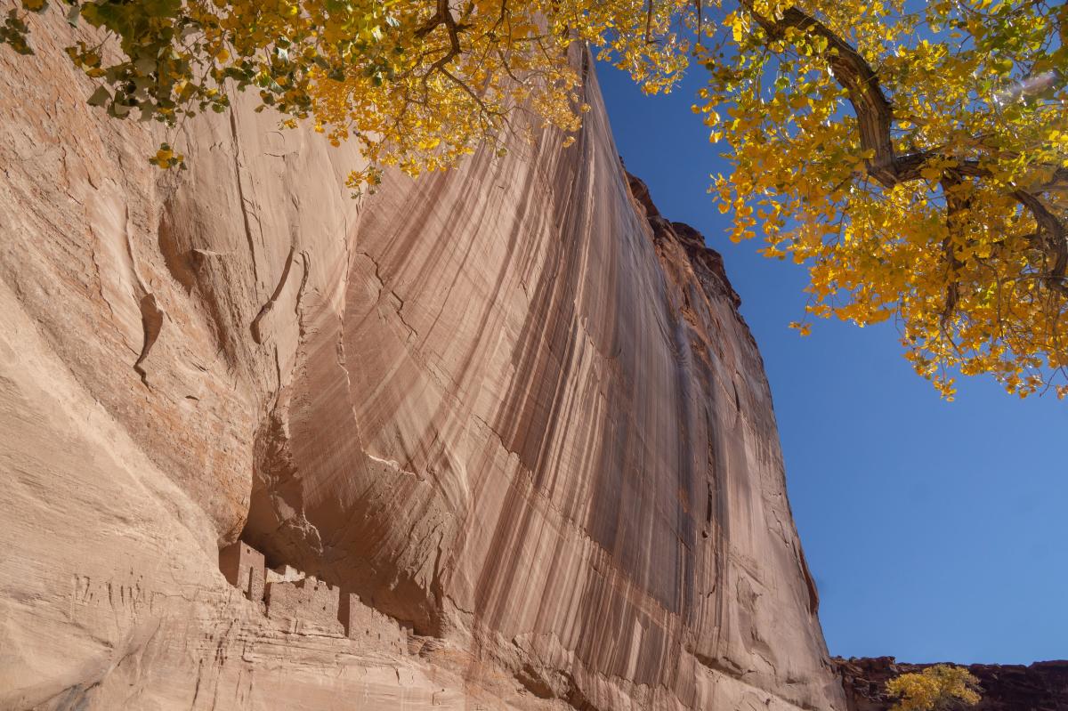 Canyon de Chelley during Fall