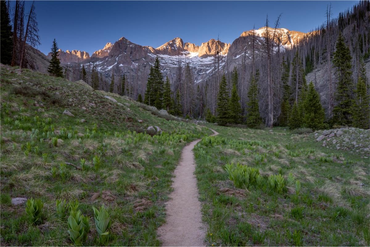 Chicago Basin In The Summer