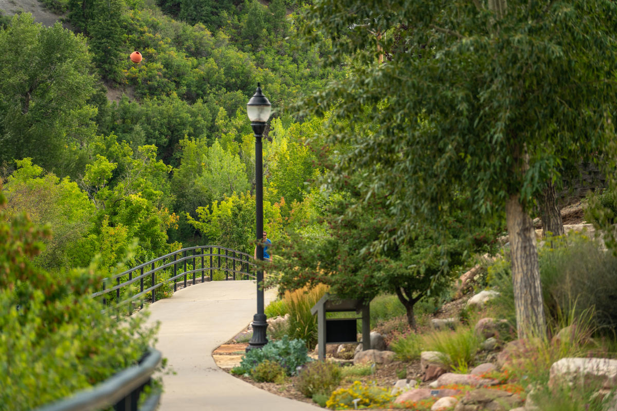 Animas River Trail in Summer