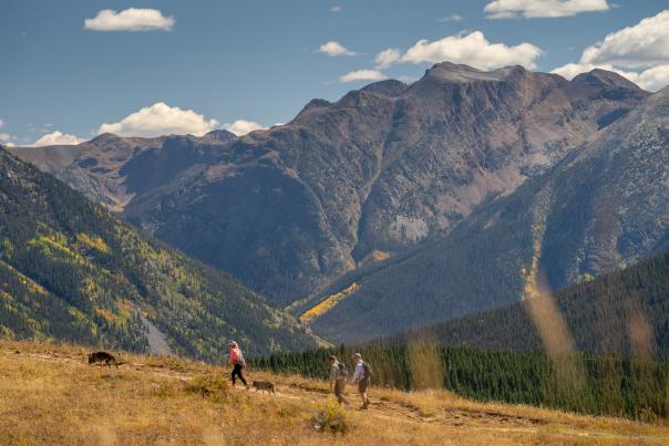 Hikers on the Colorado Trail During Fall