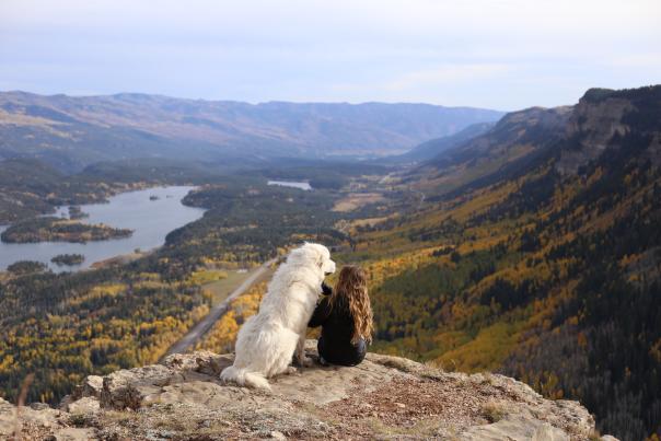 Dog and owner hiking